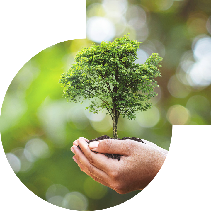 關懷人類、文化、環境與社會